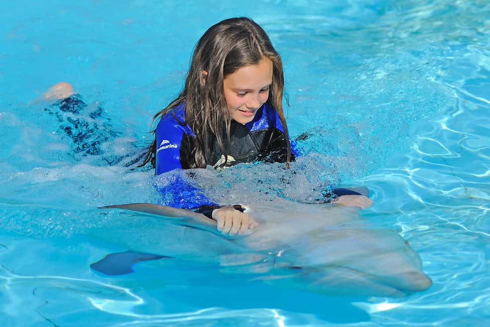 image n.3 of Algarve Zoomarine Ticket and Dolphin Emotions Experience activity in Albufeira, uploaded by supplier