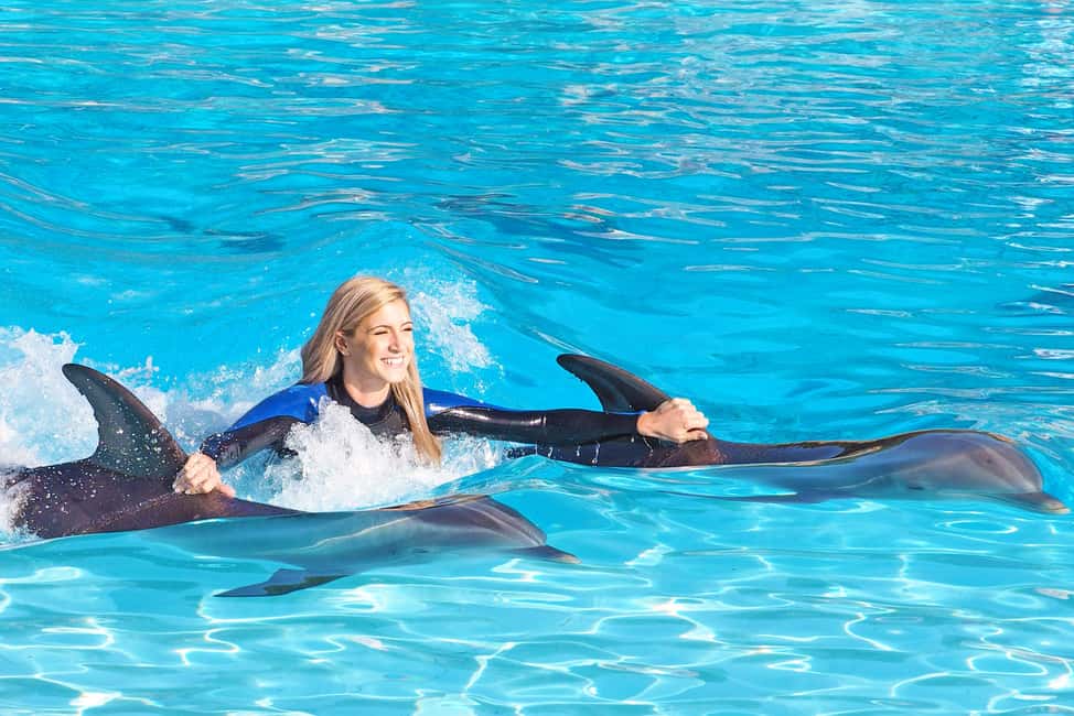 image n.5 of Algarve Zoomarine Ticket and Dolphin Emotions Experience activity in Albufeira, uploaded by supplier