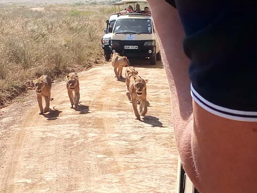 image n.11 of Nairobi National Park Half-Day Game Drive activity in Nairobi, uploaded by supplier