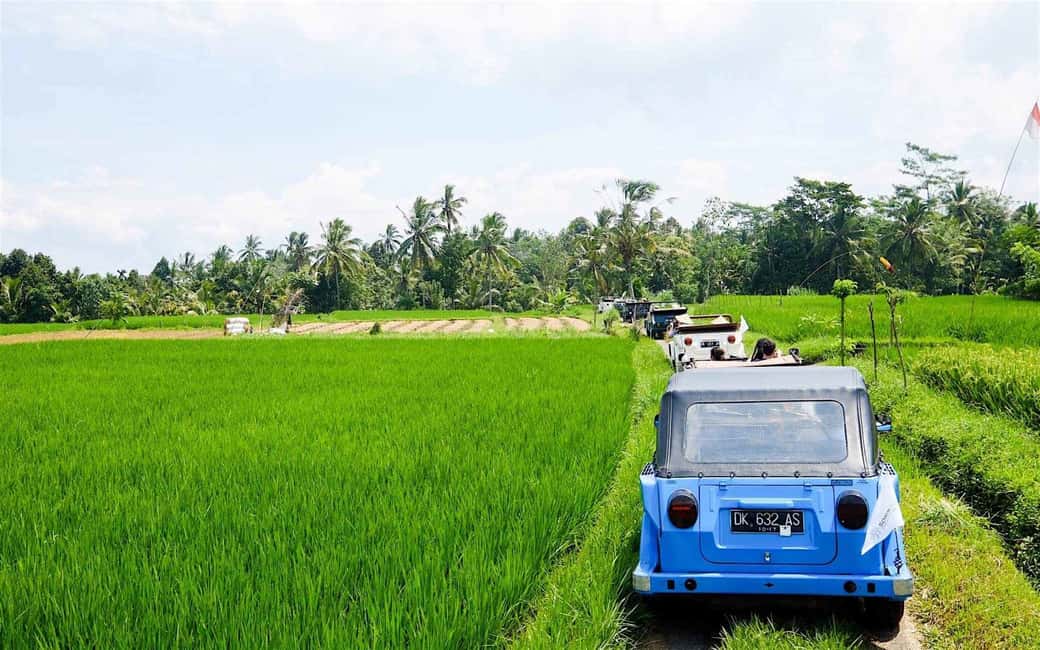 image n.1 of Bali: Vintage VW Jeep Countryside Safari activity in Tabanan, uploaded by supplier