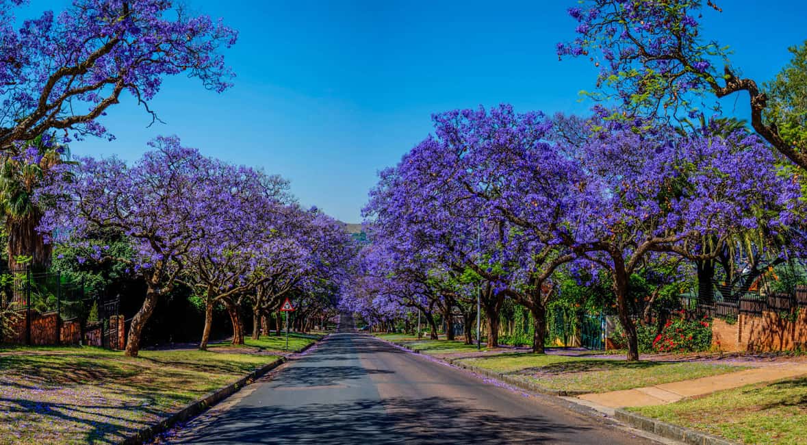image n.3 of Johannesburg: Pretoria and Cullinan Diamond Mine Tour activity in Pretoria, uploaded by supplier
