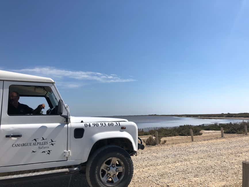 Bild Nr. 5 von Ab Arles: Halbtägige 4x4 Camargue Safari Aktivität in Arles, hochgeladen vom Anbieter