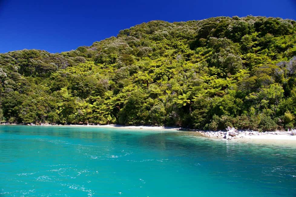 image n.7 of Abel Tasman National Park Scenic Cruise activity in South Island, uploaded by supplier