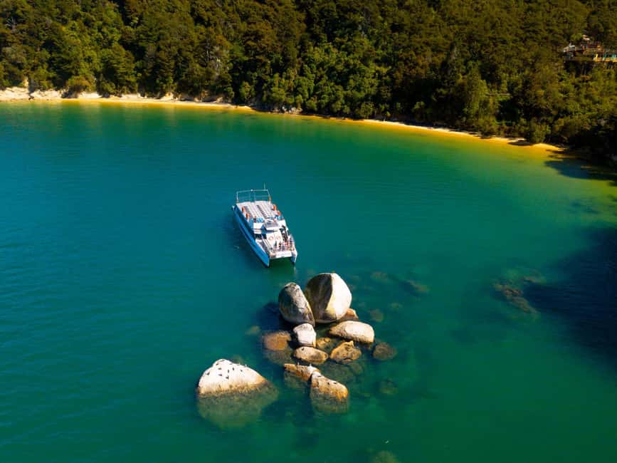 image n.9 of Abel Tasman National Park Scenic Cruise activity in South Island, uploaded by supplier