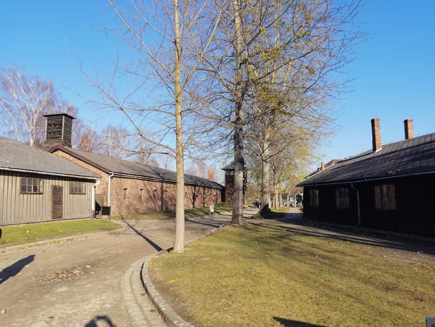 Immagine nº 3 di Da Varsavia: Tour di Auschwitz-Birkenau in auto attività a Oswiecim, caricata dal fornitore