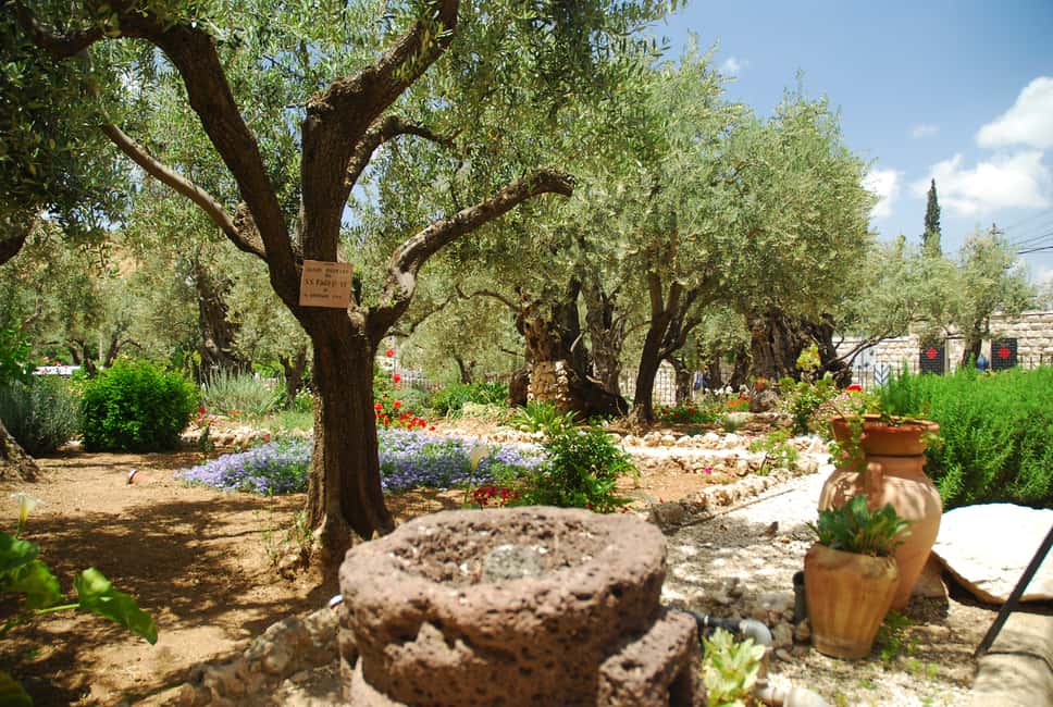 image n.4 of From Tel-Aviv: Day Tour to Origins of Christ in Jerusalem activity in Jerusalem, uploaded by supplier