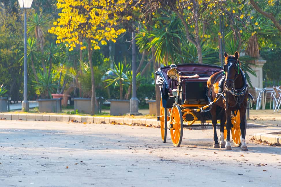 Bild Nr. 4 von Fahrt mit der Pferdekutsche durch Sevilla Aktivität in Sevilla, hochgeladen vom Anbieter