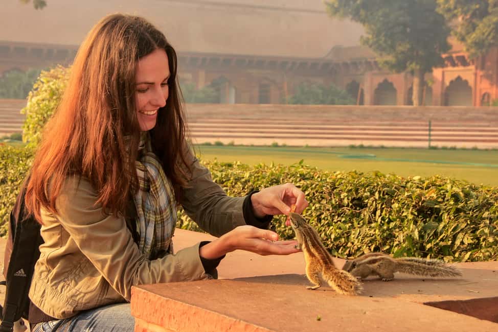 image n.15 of From Delhi: Private Taj Mahal and Agra Tour by Express Train activity in Agra, uploaded by supplier