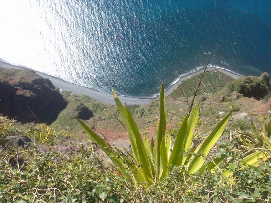 image n.13 of From Funchal: West Madeira Waterfalls and Fanal Forest Tour activity in Madeira, uploaded by supplier