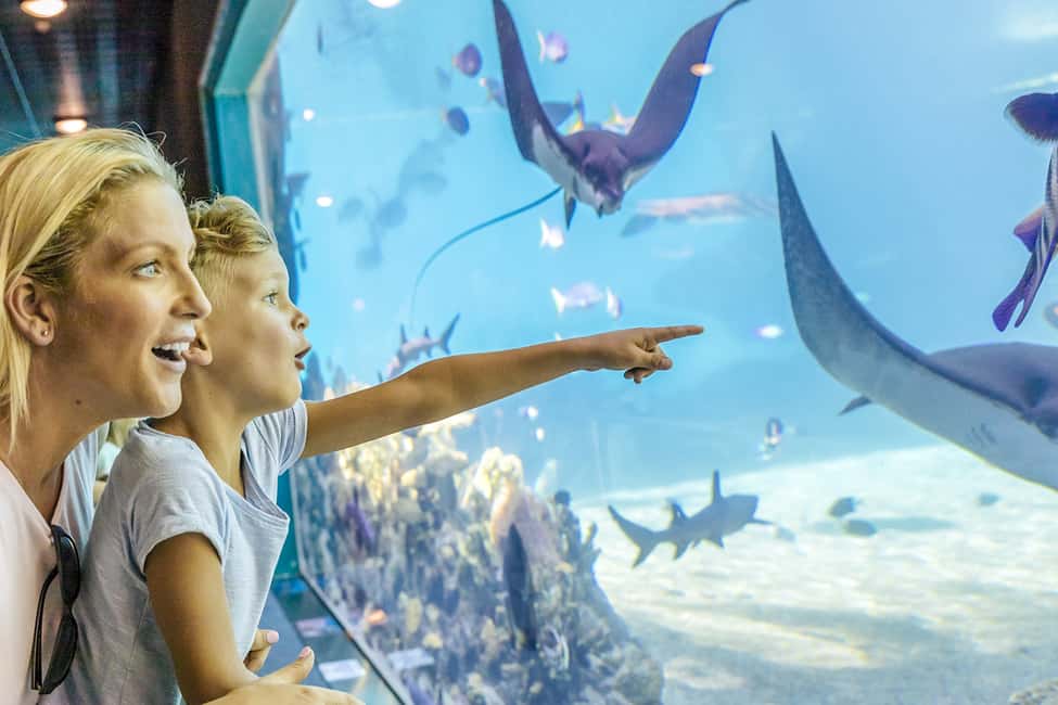 image n.8 of Gold Coast: Movie World, Sea World, & Wet’n’Wild 5-Day Pass activity in Gold Coast, uploaded by supplier
