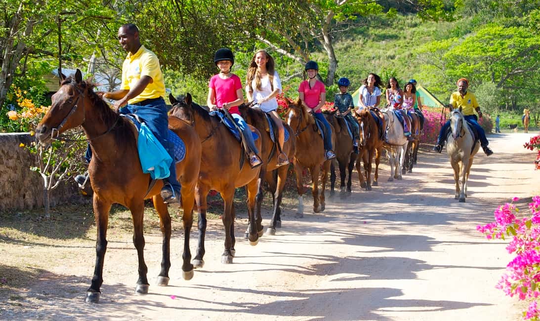 imagem n.3 de Excursão a cavalo e a nado atividade em Kingston, Jamaica, carregada pelo fornecedor
