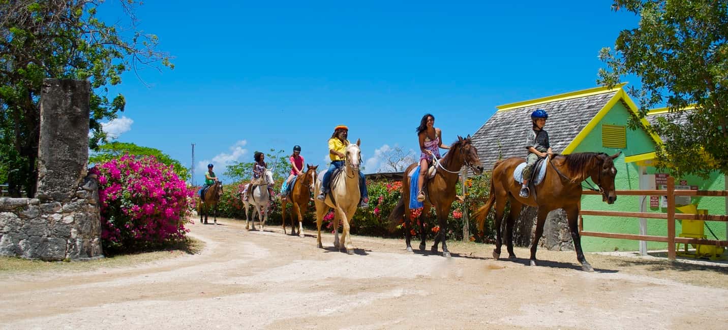 imagem n.5 de Excursão a cavalo e a nado atividade em Kingston, Jamaica, carregada pelo fornecedor