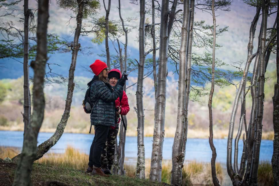 imagen n.º 2 de Ushuaia: Parque Nacional de Tierra del Fuego actividad en Tierra del Fuego, subida por el proveedor