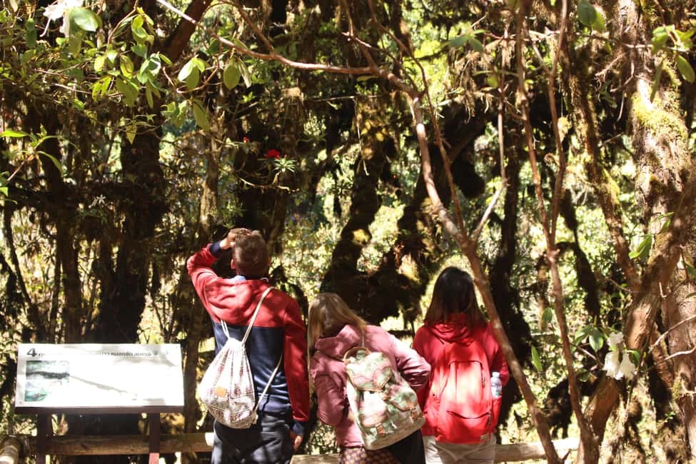 Bild Nr. 7 von Chiang Mai: Doi Inthanon Nationalpark mit Ticket & Mittagessen Aktivität in Chiang Mai, hochgeladen vom Anbieter