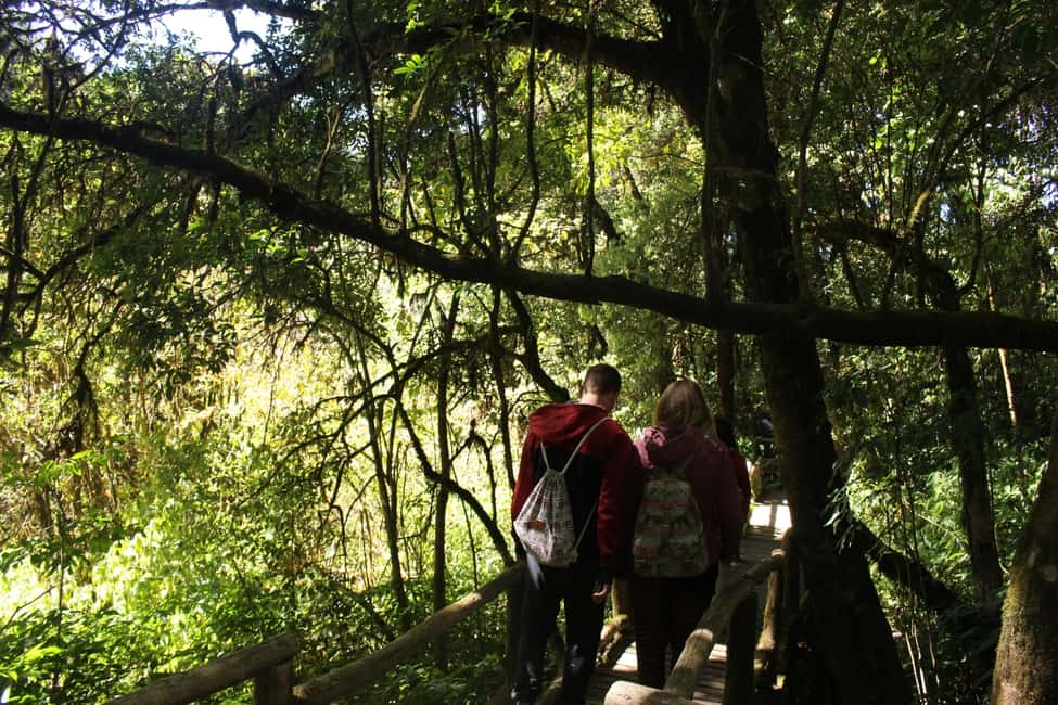 Bild Nr. 10 von Chiang Mai: Doi Inthanon Nationalpark mit Ticket & Mittagessen Aktivität in Chiang Mai, hochgeladen vom Anbieter