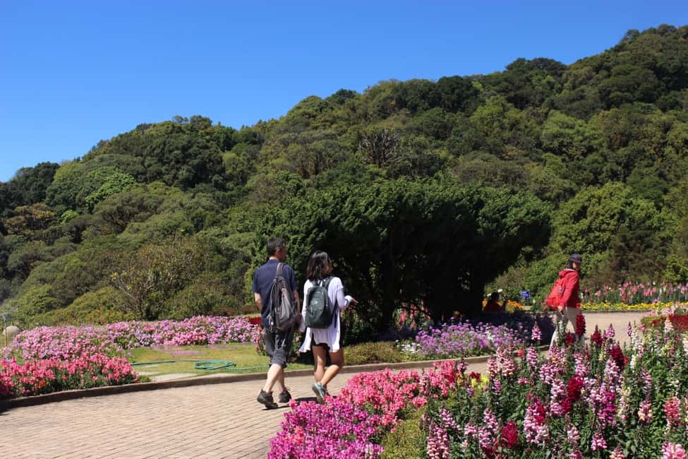 Bild Nr. 14 von Chiang Mai: Doi Inthanon Nationalpark mit Ticket & Mittagessen Aktivität in Chiang Mai, hochgeladen vom Anbieter