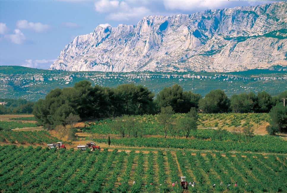 billede nr.9 af aktiviteten Avignon: Heldags vintur rundt Châteauneuf-du-Pape i Avignon, uploadet af udbyder