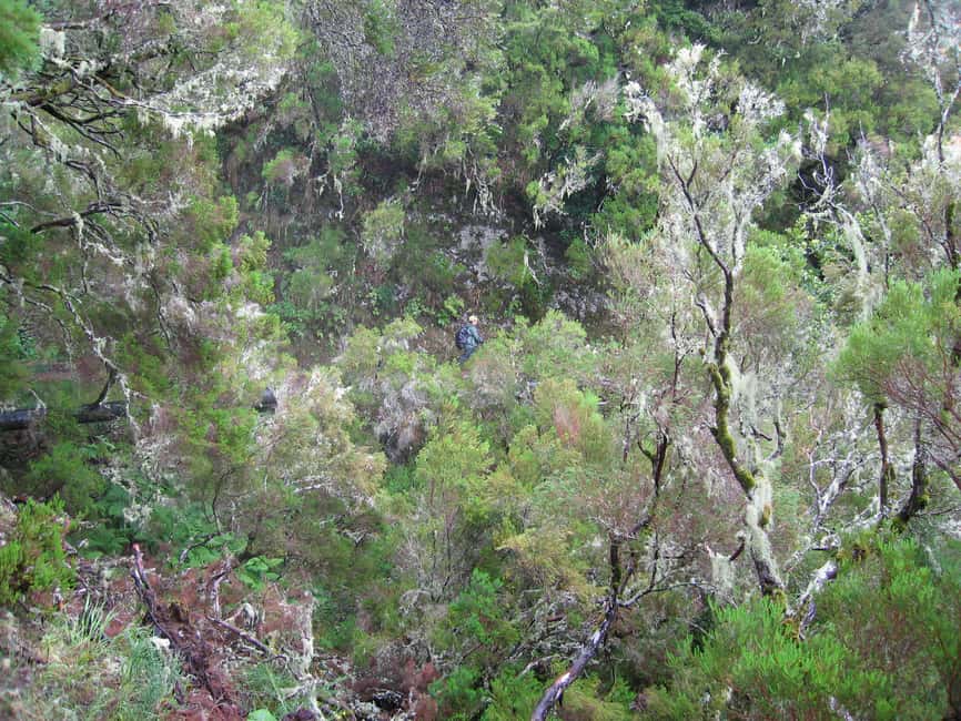 image n.10 of Madeira Walks - Rabaçal and the 25 Fountains activity in Madeira, uploaded by supplier