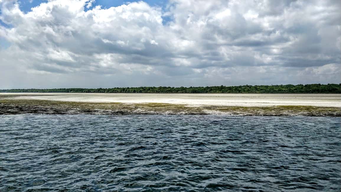 image n.31 of From Mombasa: Watamu Marine Park & Sudi Island Excursion activity in Coast Province, uploaded by supplier