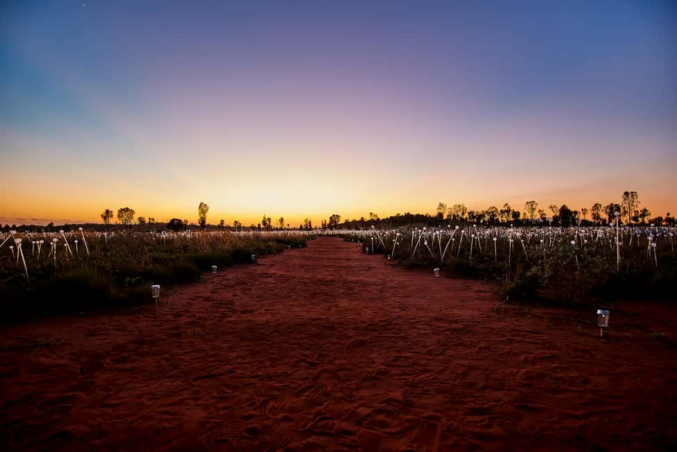 image n.9 of Uluru: Field of Light Sunrise Tour with Hot Drinks activity in Yulara, uploaded by supplier