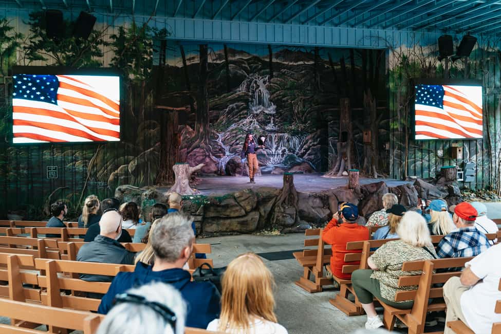 image n.22 of Pigeon Forge: Dollywood Theme Park Entry Ticket activity in Pigeon Forge, uploaded by supplier