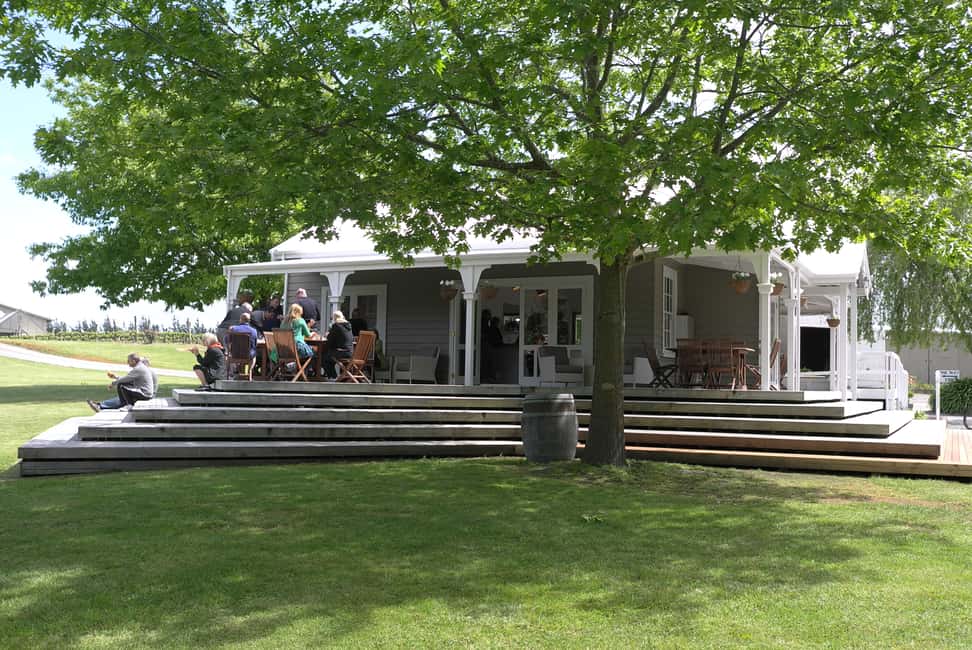 image n.12 of From Wellington: Martinborough Winery Tour activity in Wellington, uploaded by supplier