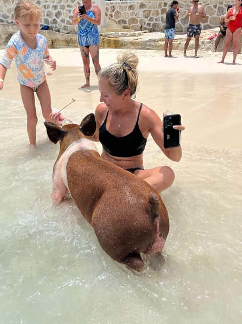 Image N°2 de Nassau : Cochons, plongée en apnée, tortues, déjeuner, club de plage privé activité à New Providence, publiée par le prestataire