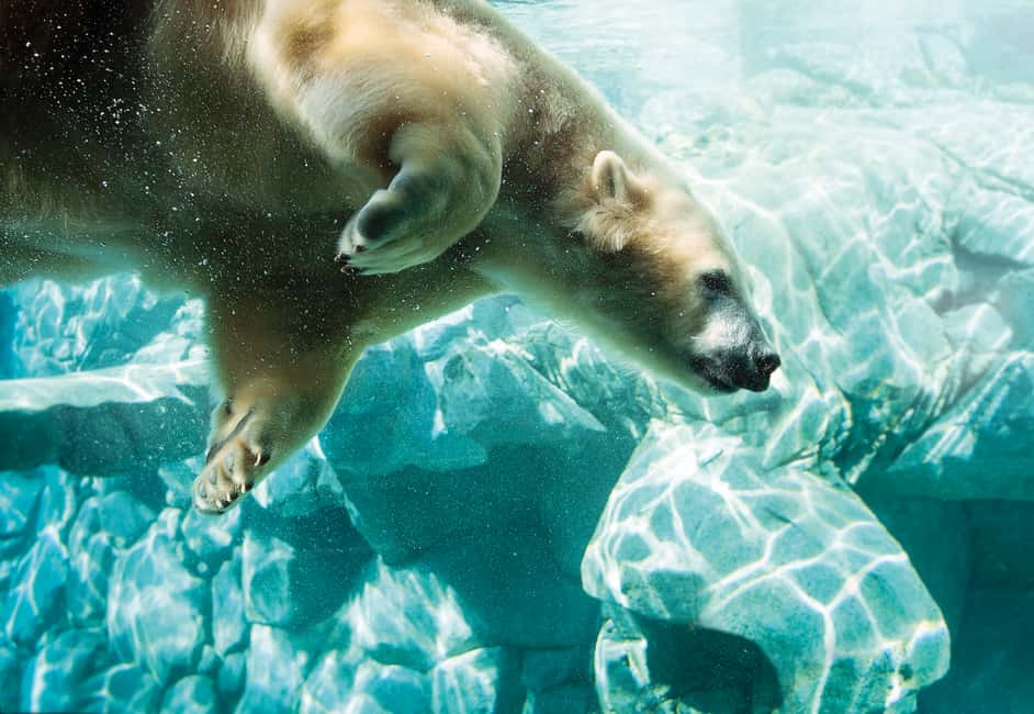 image n.9 of Gold Coast: Movie World, Sea World, & Wet’n’Wild 5-Day Pass activity in Gold Coast, uploaded by supplier