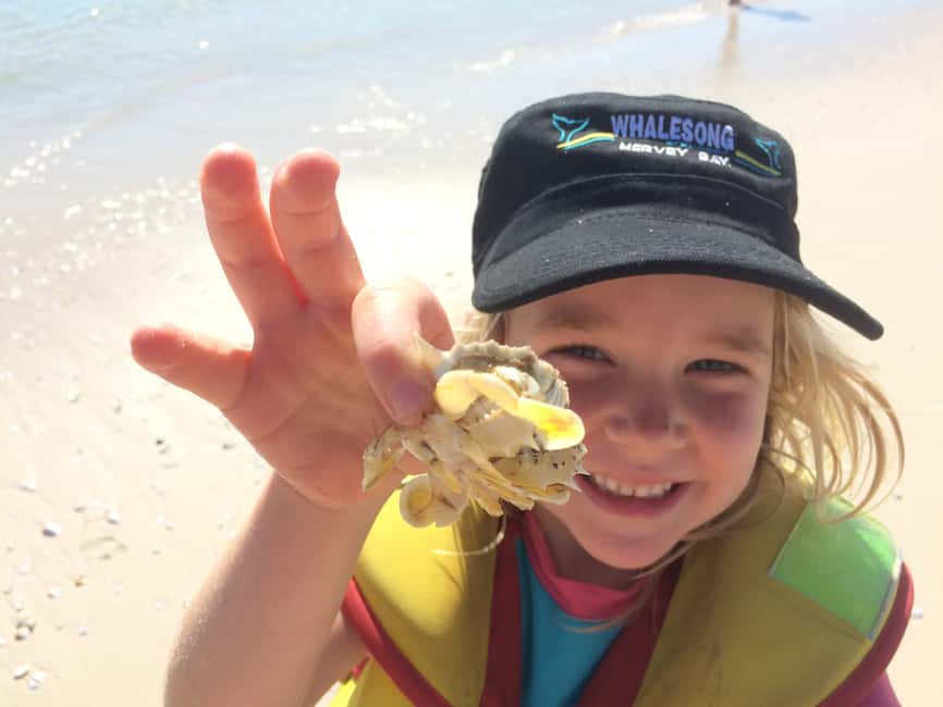 image n.10 of From Hervey Bay: Half-Day K'gari Fraser Island Beach Cruise activity in Queensland, uploaded by supplier
