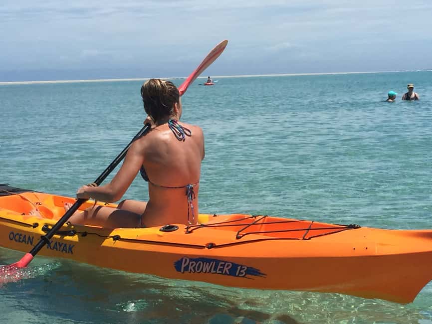 image n.12 of From Hervey Bay: Half-Day K'gari Fraser Island Beach Cruise activity in Queensland, uploaded by supplier