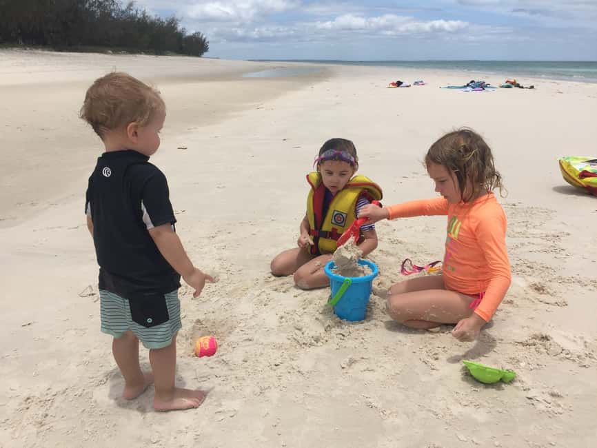 image n.13 of From Hervey Bay: Half-Day K'gari Fraser Island Beach Cruise activity in Queensland, uploaded by supplier