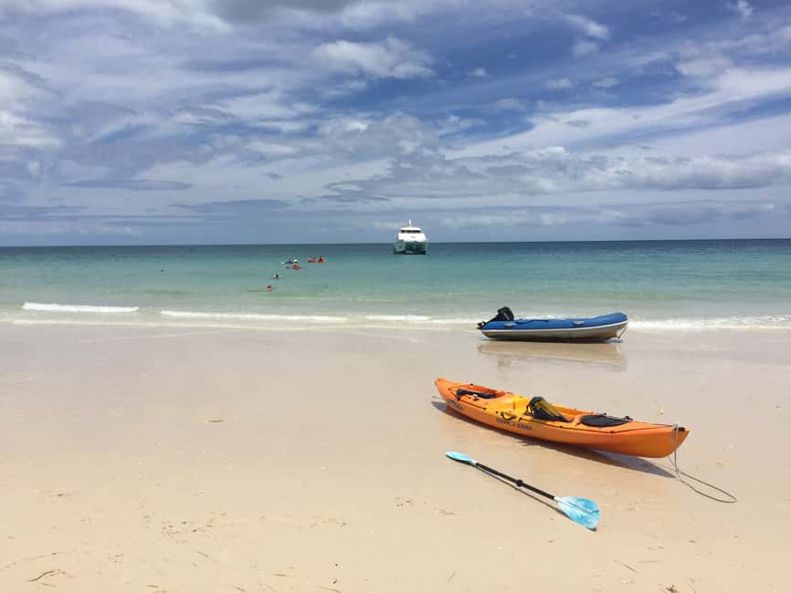 image n.14 of From Hervey Bay: Half-Day K'gari Fraser Island Beach Cruise activity in Queensland, uploaded by supplier