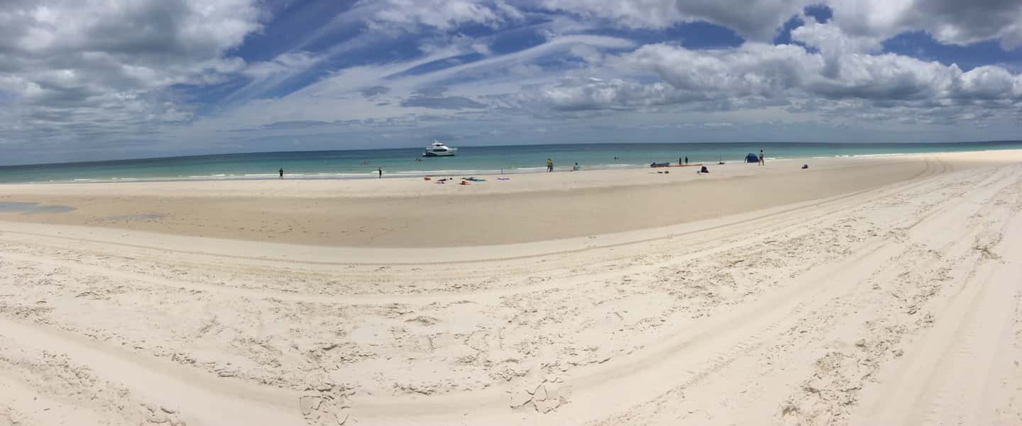 image n.15 of From Hervey Bay: Half-Day K'gari Fraser Island Beach Cruise activity in Queensland, uploaded by supplier