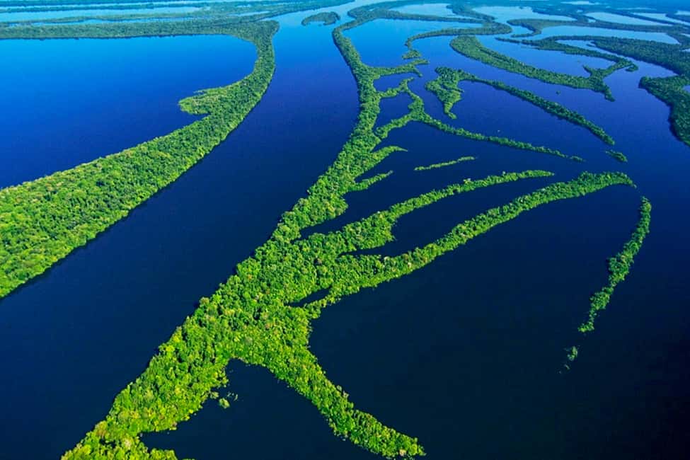 image n.4 of Manaus: Amazonas Jungle and Anavilhanas Archipelago Trek activity in North Region, Brazil, uploaded by supplier