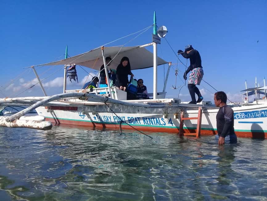 imagem n.5 de Cebu: Tubarões-baleia de Oslob, Cataratas de Tumalog e mergulho com sardinha atividade em Oslob, carregada pelo fornecedor