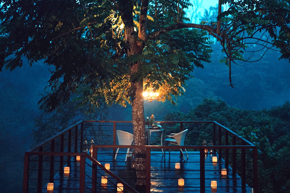image n.3 of Ubud: Romantic Dinner on a Forest Tree Deck activity in Ubud, uploaded by supplier