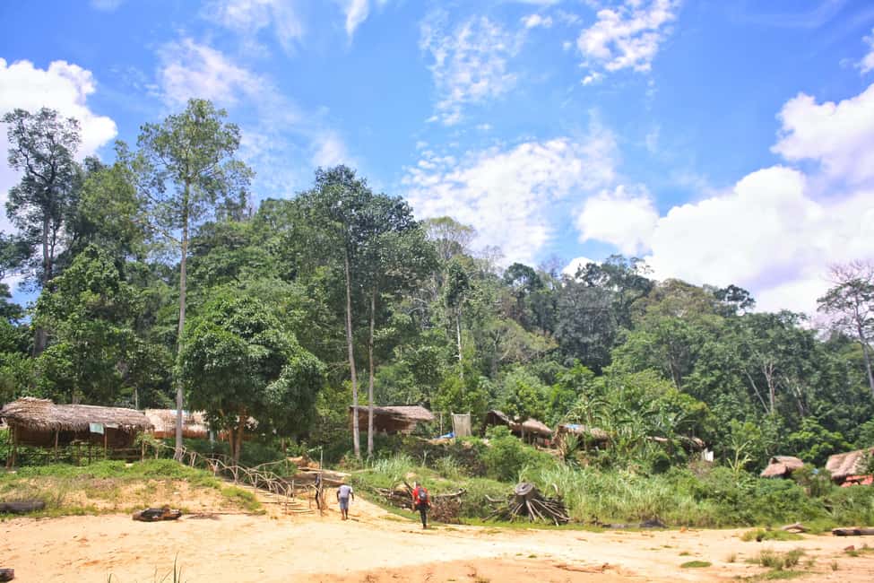 Image N°5 de Depuis Kuala Lumpur : Excursion d'une journée dans le parc national de Taman Negara activité à Kuala Lumpur, publiée par le prestataire