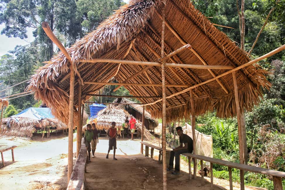 Image N°6 de Depuis Kuala Lumpur : Excursion d'une journée dans le parc national de Taman Negara activité à Kuala Lumpur, publiée par le prestataire