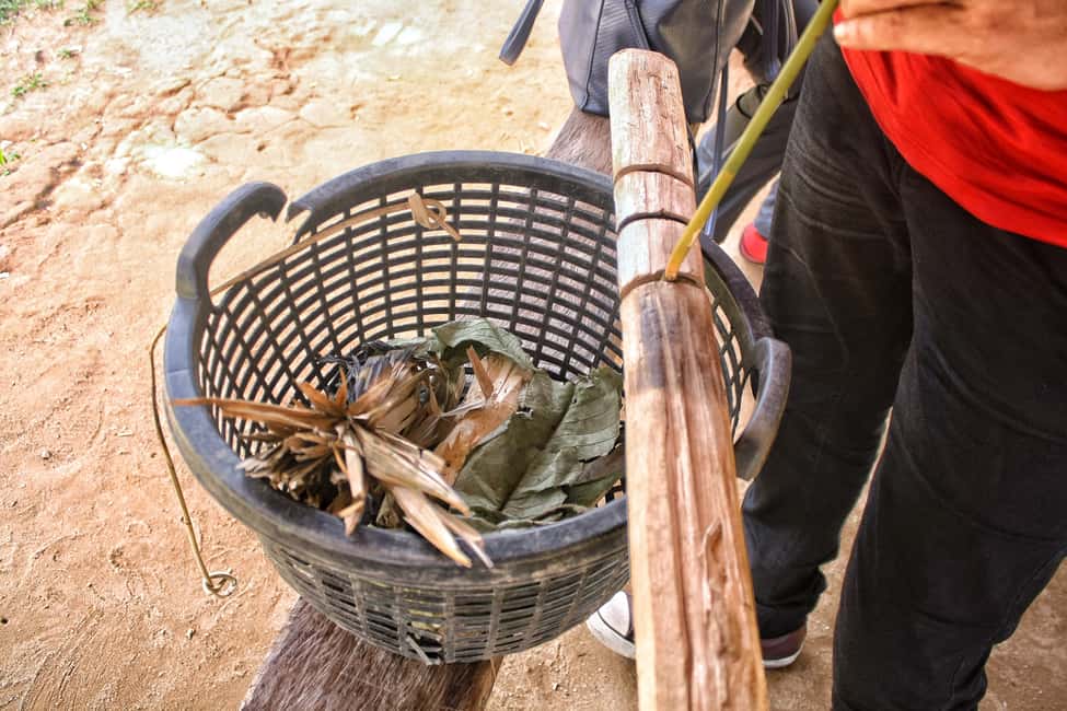 Image N°7 de Depuis Kuala Lumpur : Excursion d'une journée dans le parc national de Taman Negara activité à Kuala Lumpur, publiée par le prestataire