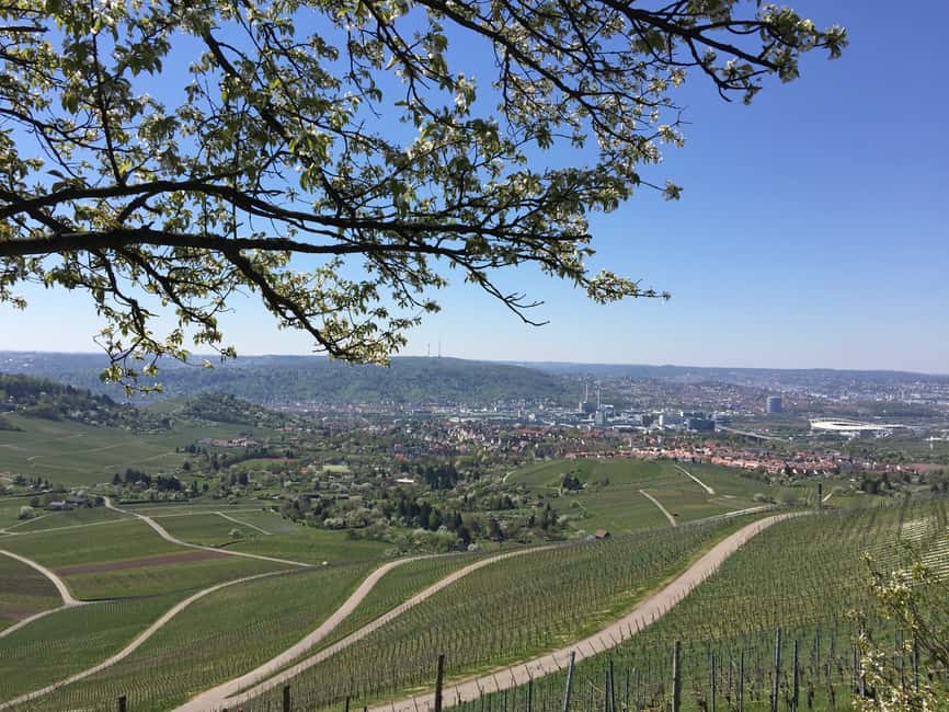 Immagine nº 6 di Stoccarda: Tour guidato a piedi e degustazione di vini attività a Stoccarda, caricata dal fornitore