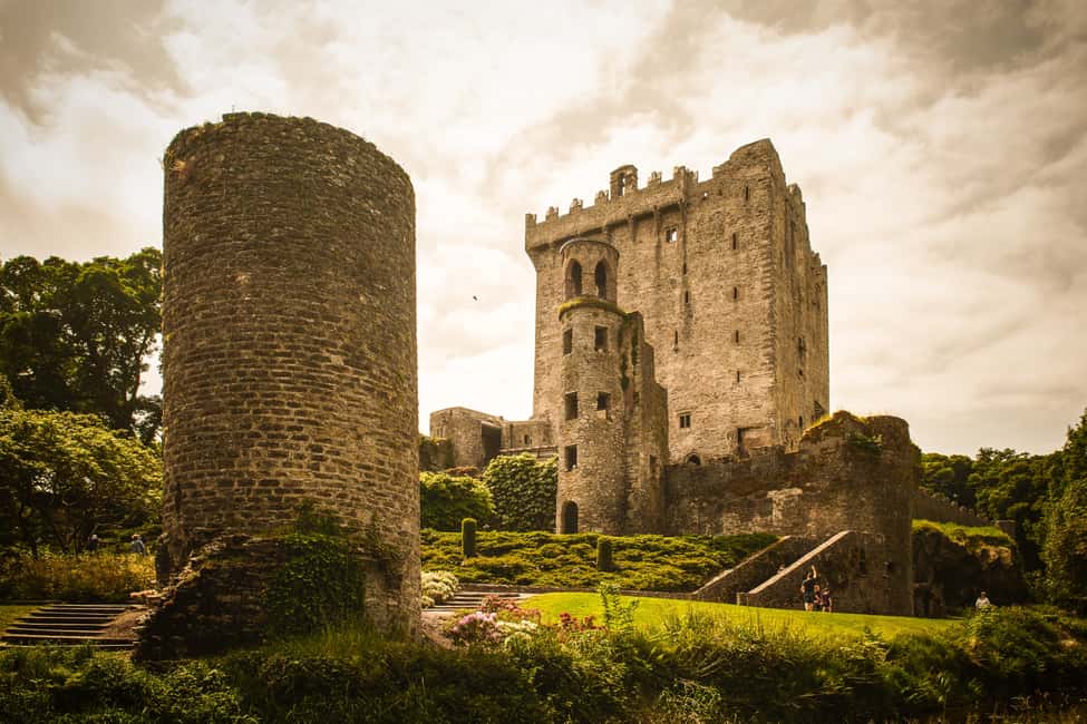imagen n.º 13 de Desde Dublín: Excursión de 5 días al Suroeste con alojamiento actividad en Munster, Irlanda, subida por el proveedor