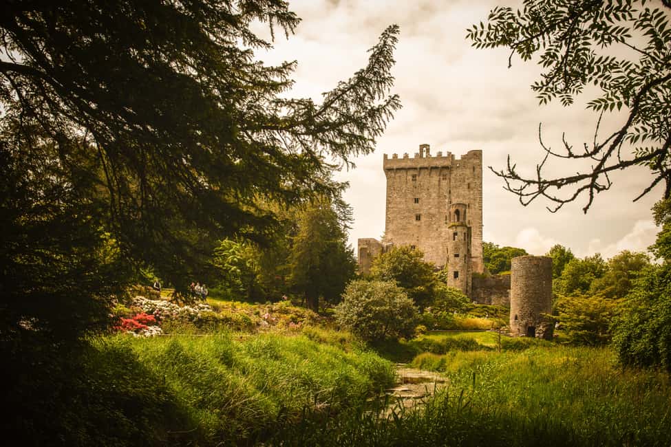 imagen n.º 14 de Desde Dublín: Excursión de 5 días al Suroeste con alojamiento actividad en Munster, Irlanda, subida por el proveedor