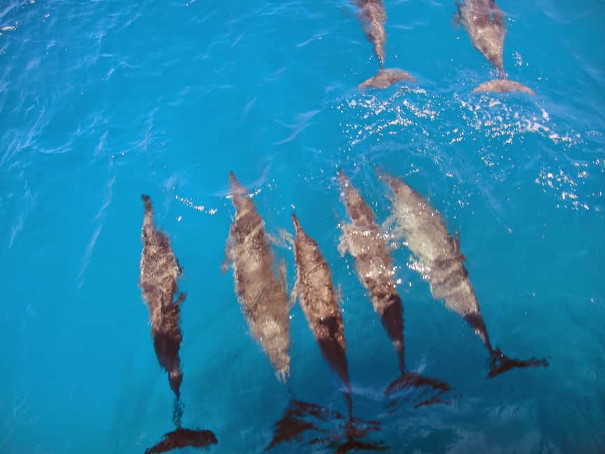 image n.1 of Fernando de Noronha: Catamaran Tour with meal and transfer activity in Northeast Region, Brazil, uploaded by supplier
