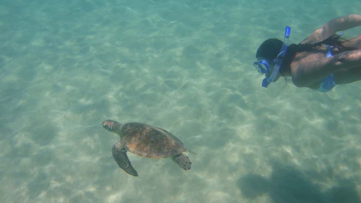image n.5 of Fernando de Noronha: Catamaran Tour with meal and transfer activity in Northeast Region, Brazil, uploaded by supplier