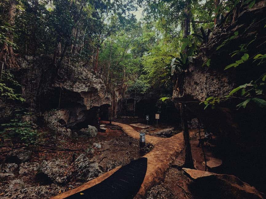 imagem n.6 de Excursão e transporte para as cavernas Green Grotto atividade em Clarendon, carregada pelo fornecedor