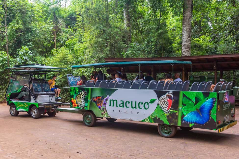 image n.7 of Iguassu Falls: Guided Tour & Macuco Safari on Pontoon Boats activity in Matelandia, uploaded by supplier