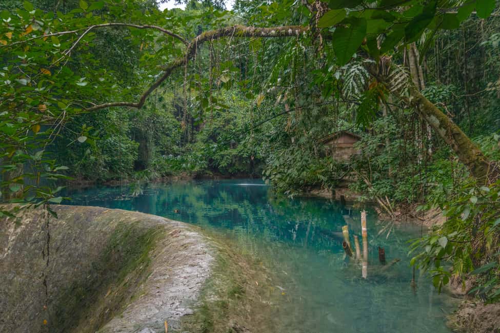 image n.8 of Cebu: Kawasan Falls Canyoneering & Cliff Jump Private Tour activity in Badian, uploaded by supplier