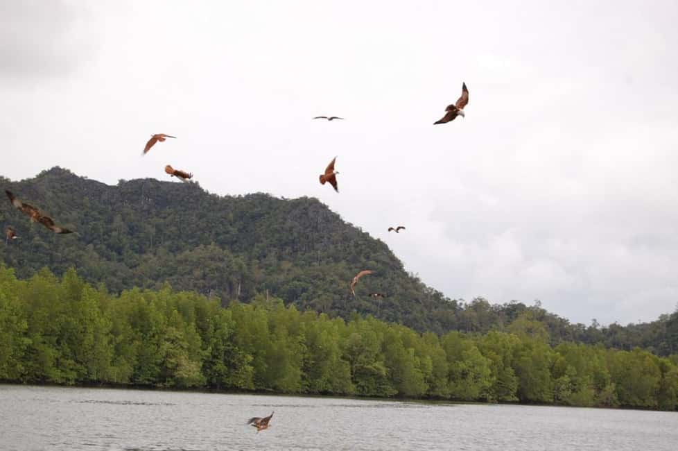 image n.9 of Langkawi: Island Hopping Tour activity in Kuah, uploaded by supplier