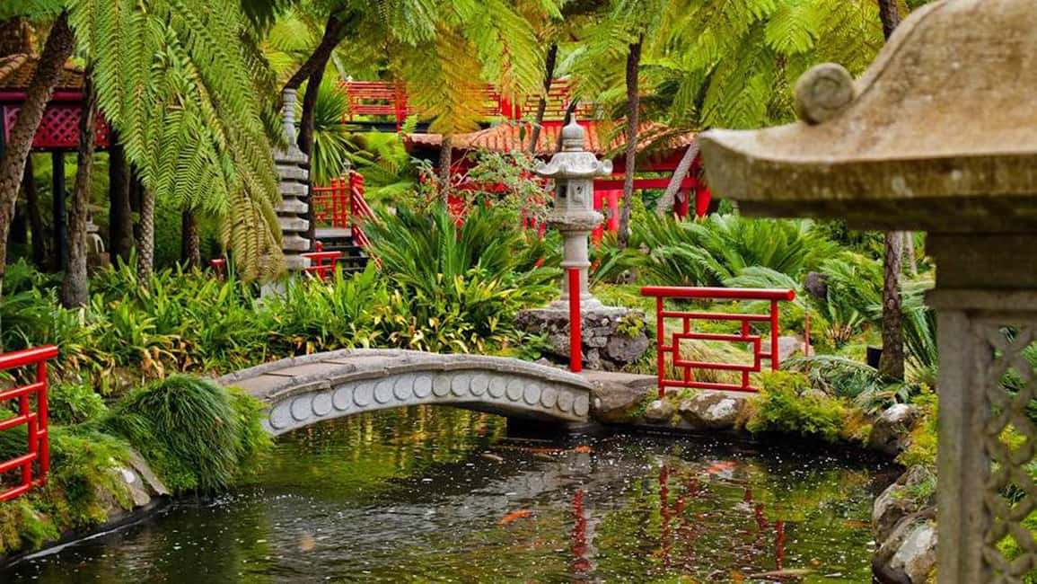 image n.7 of Madeira: Monte Tropical Gardens + Old Town Tuk Tuk by MadTuk activity in Funchal, uploaded by supplier
