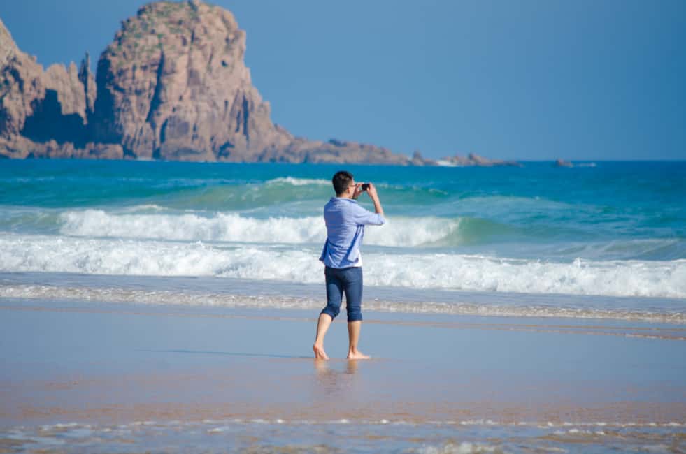 Phillip Island: Penguins and Wildlife Full-Day Tour